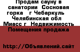 Продам сауну в санатории “Сосновая горка“ (г.Чебаркуль) - Челябинская обл., Миасс г. Недвижимость » Помещения продажа   